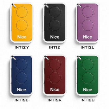 NICE INTI2 Remote Control UAE